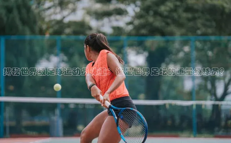 人人体育app直播下载阿里尔公司