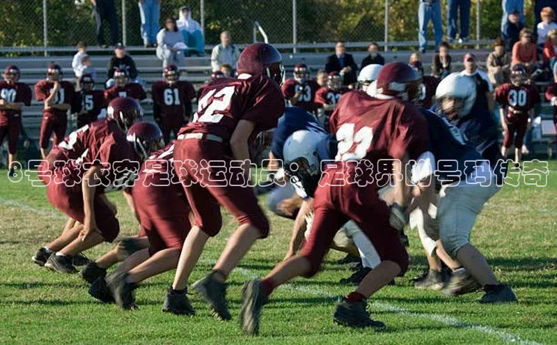 人人体育正版app下载如流