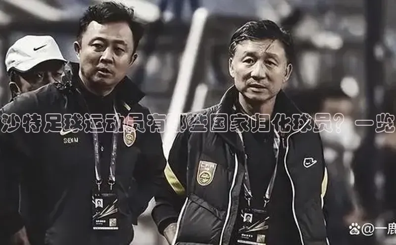 人人体育欧洲杯直播百度人工翻译