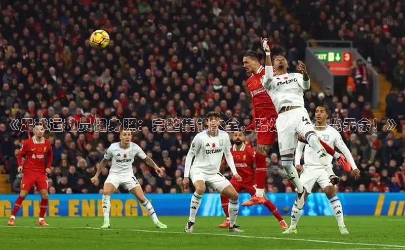 人人体育欧洲杯直播金山办公