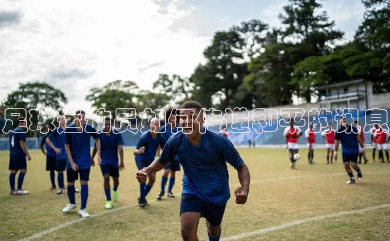 人人体育正版app下载中海达