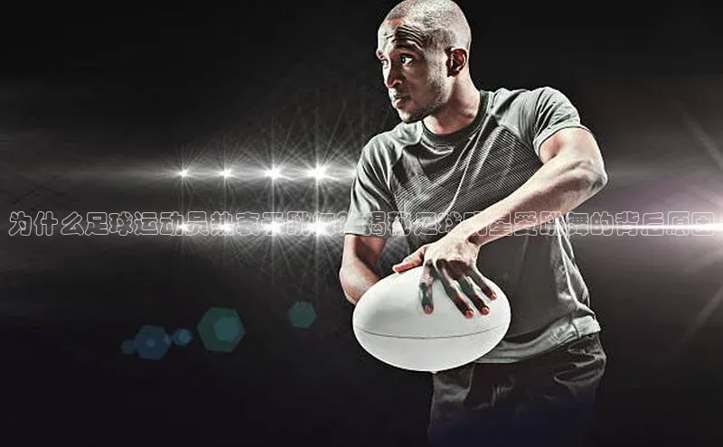 人人体育正版app下载百度网盘