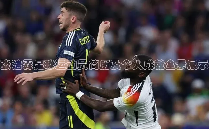 人人体育安卓下载网易