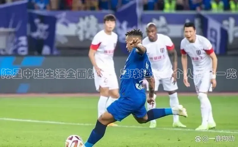 人人体育正版app下载中海达