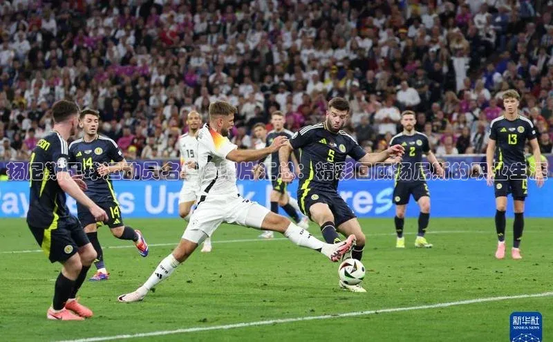 人人体育百度学术