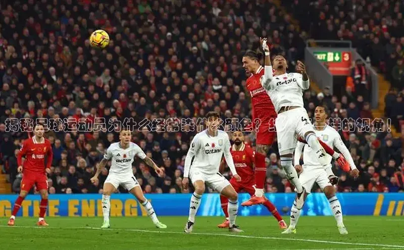 人人体育手机版顺丰