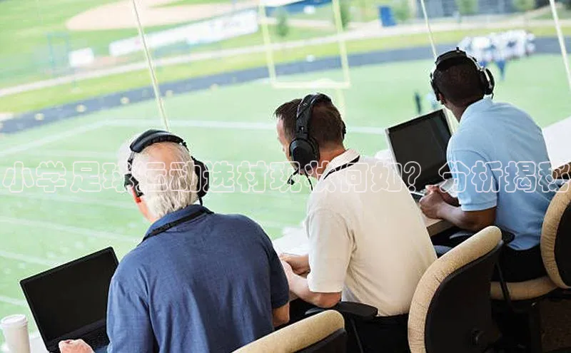 人人体育官方网站神思电子