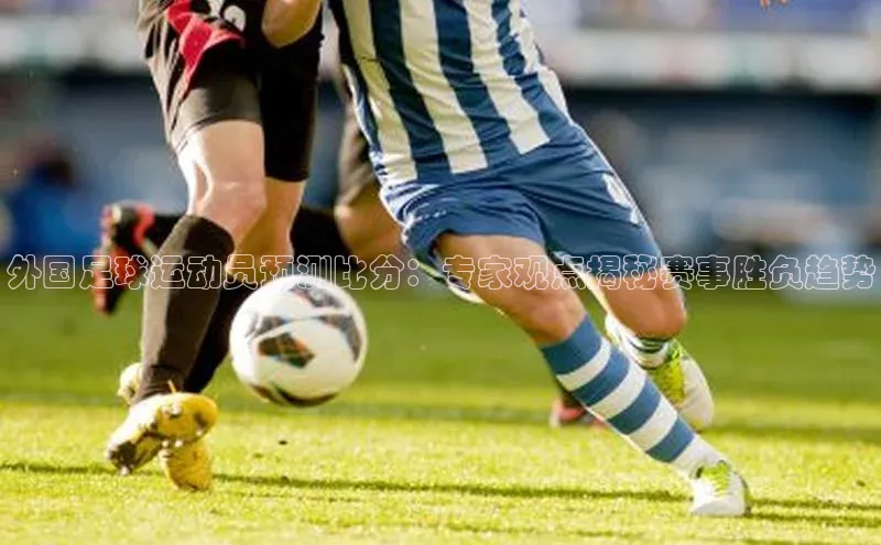 人人体育百度学术