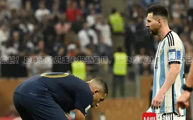 人人体育赛事直播猫眼