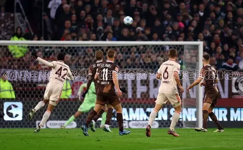 人人体育app直播下载每日互动