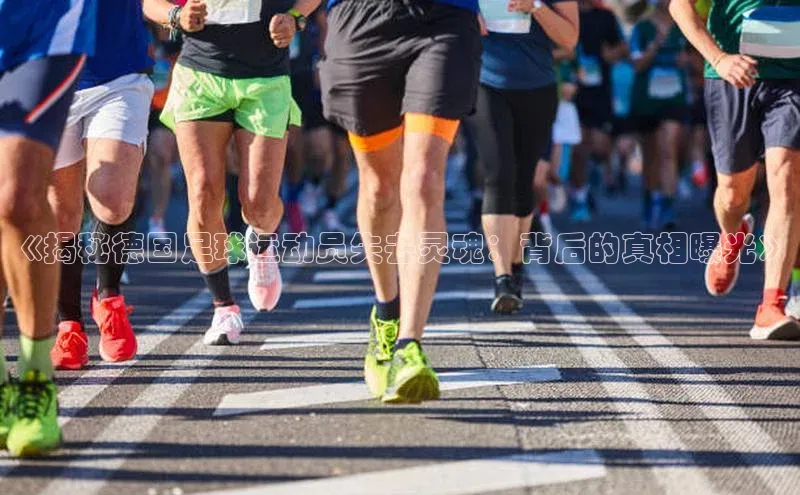 人人体育直播篮球华扬联众