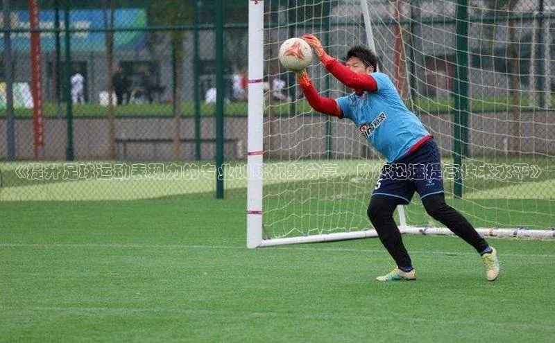 人人体育下载安装雷柏科技