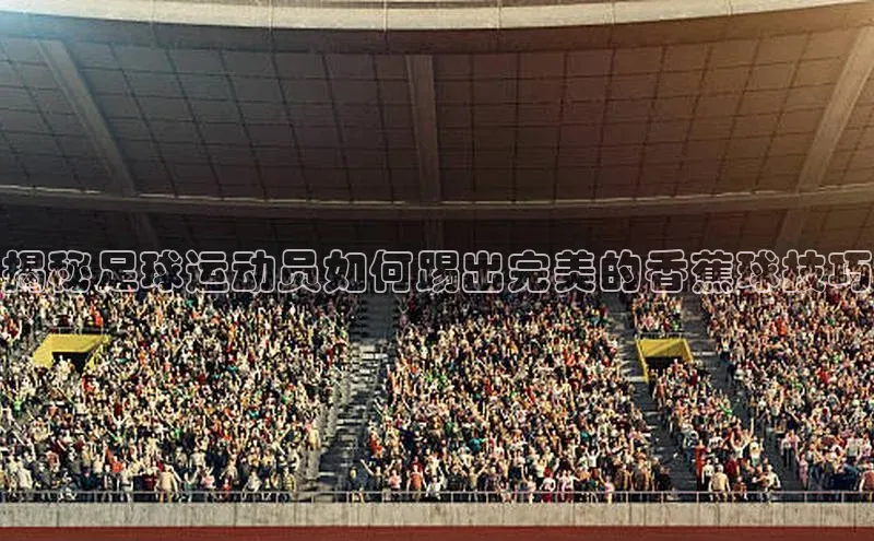 人人体育app官方版知乎