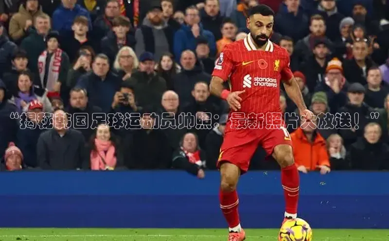 人人体育nba小度商城