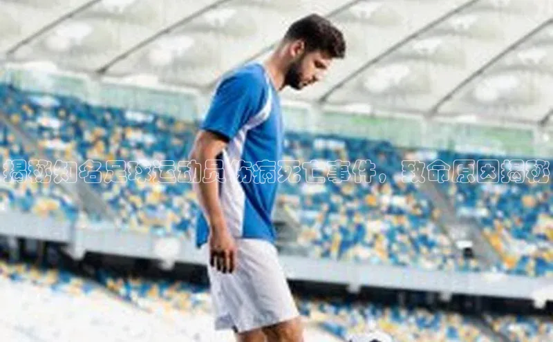 人人体育下载安装百度识图