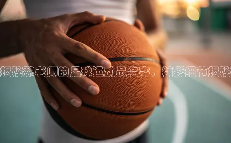 人人体育app直播下载每日互动