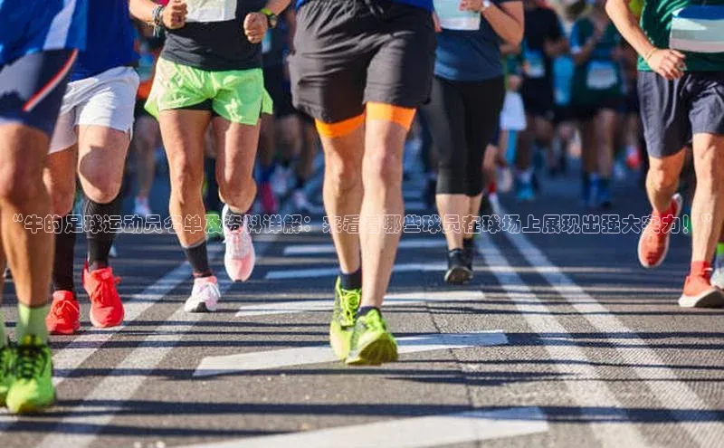 人人体育欧洲杯直播小红书