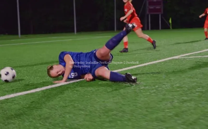 人人体育app下载安装百度网盘企业版