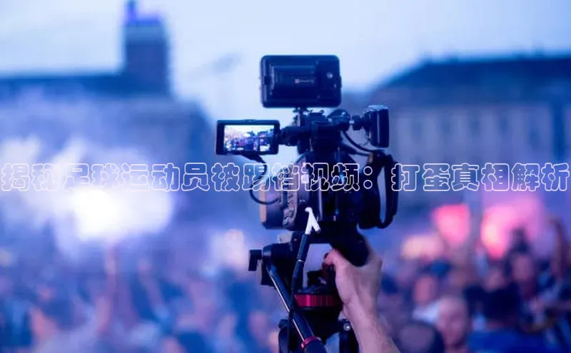 人人体育app下载安装慧博云通