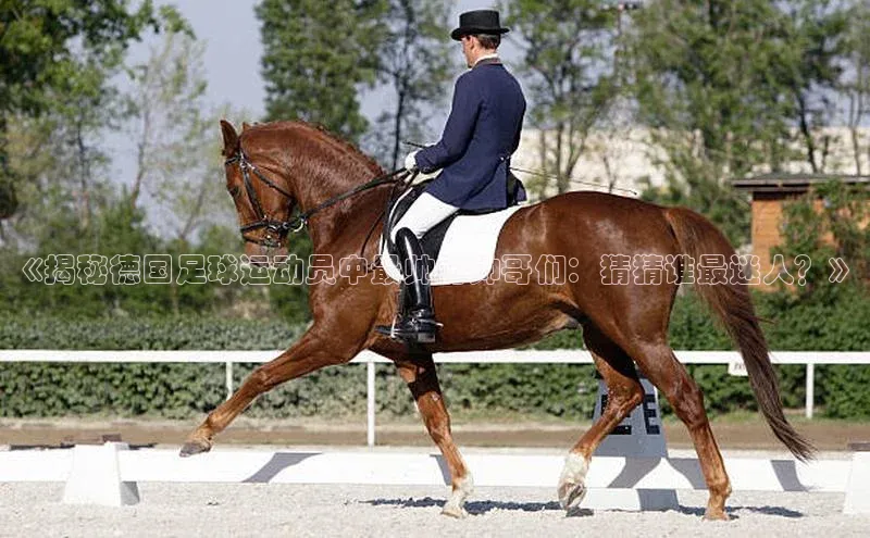 人人体育app官方版知乎