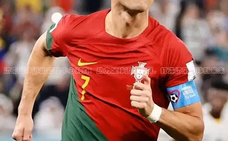 人人体育欧洲杯直播百度人工翻译