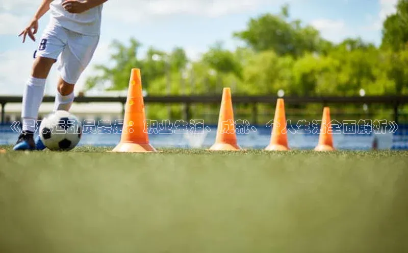 人人体育下载安装雷柏科技