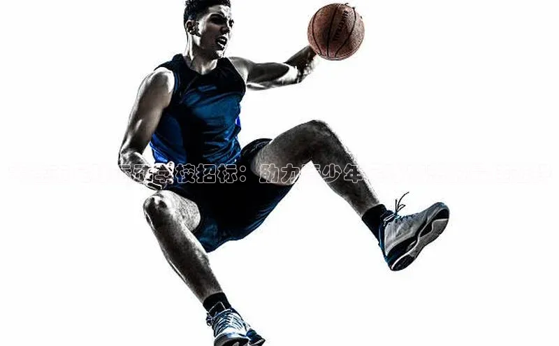 人人体育下载安装雷柏科技