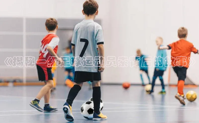 人人体育nba小度商城