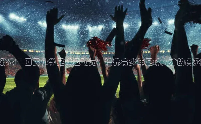 人人看球app下载文心一言