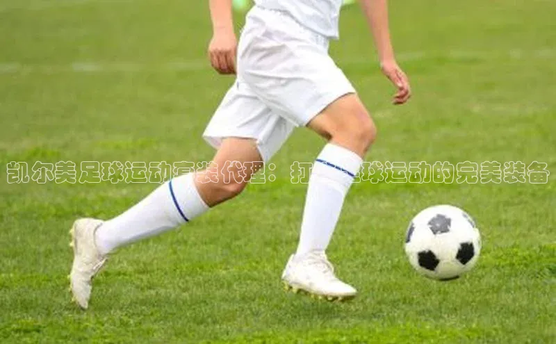 人人看球app下载极氪智能科技