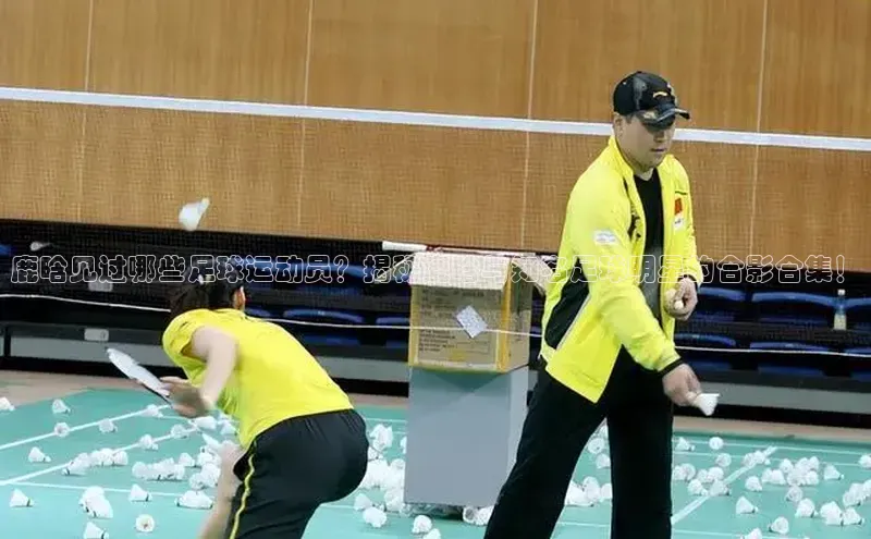 人人体育正版app下载中海达