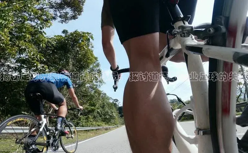 人人体育赛事直播观星盘