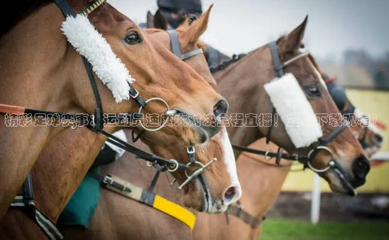 人人体育app安卓版度小满支付