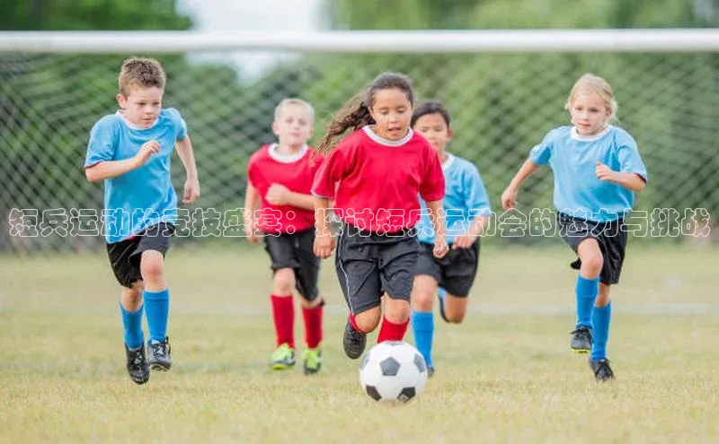 人人体育app安卓版