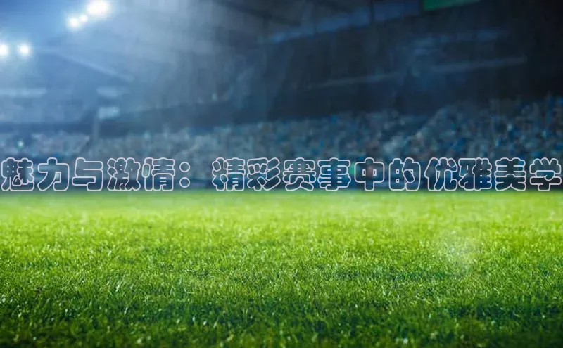 人人体育直播篮球