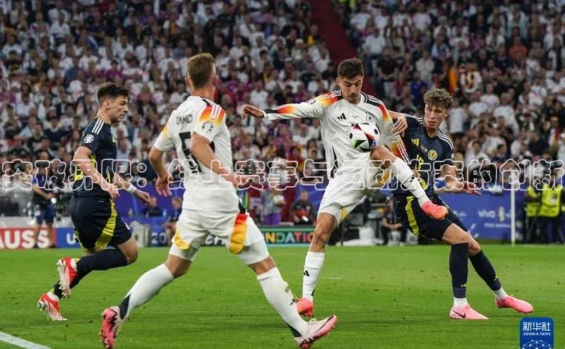 人人体育安卓下载