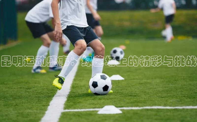 人人体育下载安装