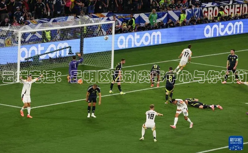 人人体育app官方版