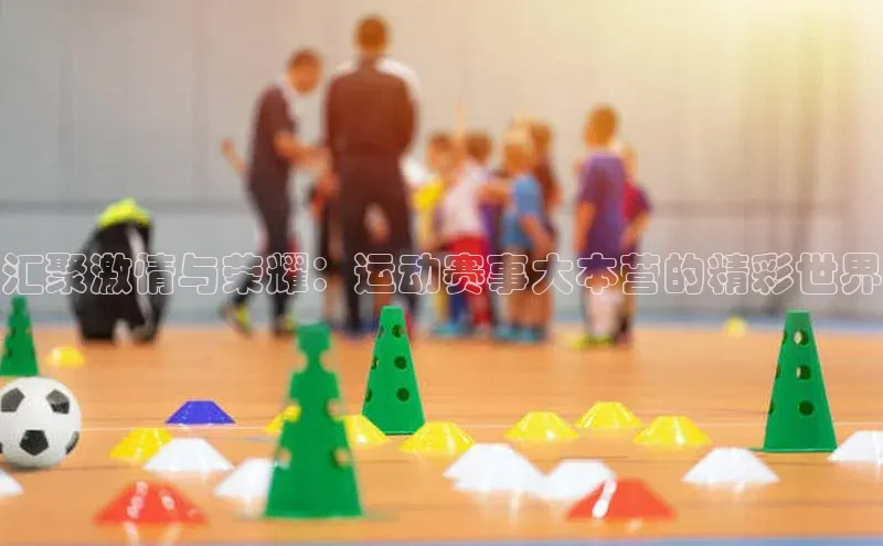 人人看球app下载
